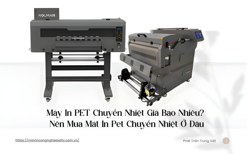 Máy in PET chuyển nhiệt ứng dụng cao trong ngành thời gian